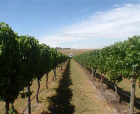 Cannibal Creek Vineyard - Kawana Tourism 1