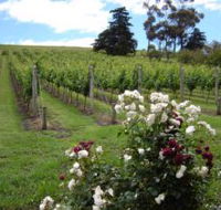 Pembroke Estate Vineyard - Kawana Tourism