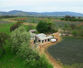 Schmidts Strawberry Winery - Kawana Tourism 0