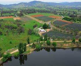 Schmidts Strawberry Winery - Kawana Tourism 3