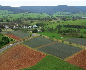 Schmidts Strawberry Winery - Kawana Tourism 1