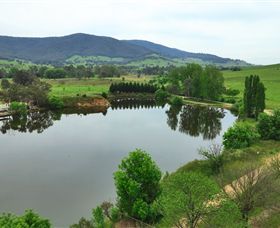 Schmidts Strawberry Winery - Kawana Tourism 2