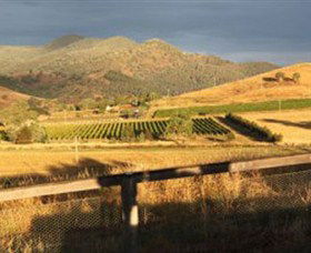 Optimiste Wines - Kawana Tourism 0