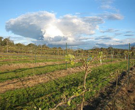 Flyfaire Wines - Kawana Tourism 7