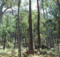 Cathedral Range State Park - Kawana Tourism