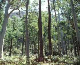 Cathedral Range State Park - Kawana Tourism 0