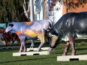 Drysdale Cheeses - Kawana Tourism 6