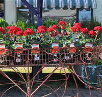 Van Loon's Nursery - Kawana Tourism