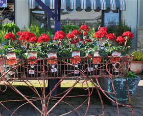Van Loon's Nursery - Kawana Tourism 0