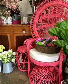 Van Loon's Nursery - Kawana Tourism 3