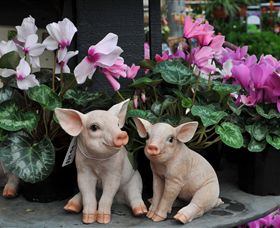 Van Loon's Nursery - Kawana Tourism 2