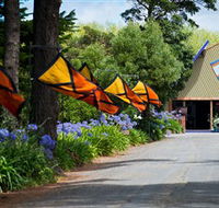 Oakdene Vineyards Restaurant and Cellar Door - Kawana Tourism
