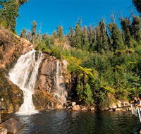 Steavenson Falls Marysville - Kawana Tourism