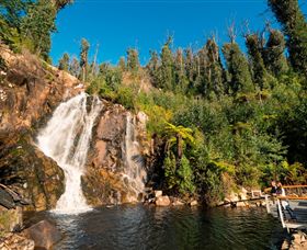 Steavenson Falls Marysville - Kawana Tourism 0