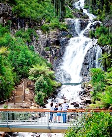 Steavenson Falls Marysville - Kawana Tourism 2