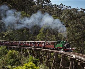 Puffing Billy Steam Railway - Kawana Tourism 0