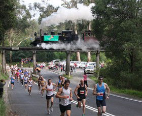 Puffing Billy Steam Railway - Kawana Tourism 7