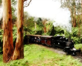 Puffing Billy Steam Railway - Kawana Tourism 5