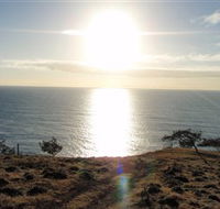 Southend Curtis Island - Kawana Tourism