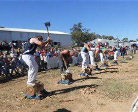 Quirindi Rural Heritage Village - Kawana Tourism 1