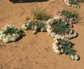 Marchagee WA Kawana Tourism