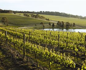Yabby Lake Vineyard & Cellar Door - Kawana Tourism 7