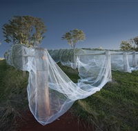 Toppers Mountain Wines - Kawana Tourism