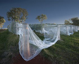 Toppers Mountain Wines - Kawana Tourism 0