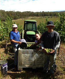 Toppers Mountain Wines - Kawana Tourism 2