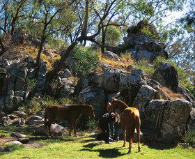 Coomba Falls - Kawana Tourism 0