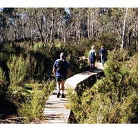 Hume and Hovell Walking Track - Henry Angel Trackhead - Kawana Tourism