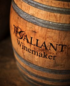 T'Gallant Winemakers - Kawana Tourism 0