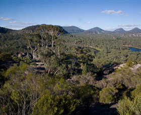 Dunns Swamp - Kawana Tourism 0