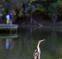 Birdwatching in the South Burnett - Kawana Tourism