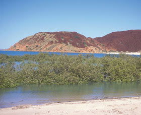 Hearsons Cove - Kawana Tourism 0