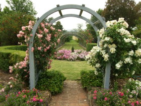 Harrow Gardens - Kawana Tourism 2