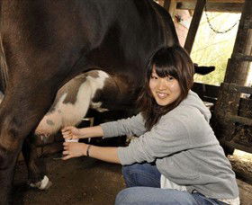 Warrook Farm - Kawana Tourism 2