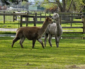 Warrook Farm - Kawana Tourism 6