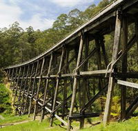 Noojee Trestle Bridge - Kawana Tourism