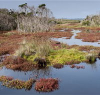 French Island National Park - Kawana Tourism