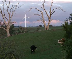 Crookwell Wind Farm - Kawana Tourism 1