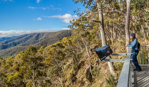 Wallace Creek Lookout - Kawana Tourism 3