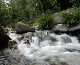 Washpool National Park - Kawana Tourism 0