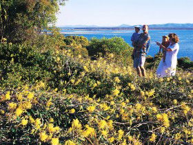Joseph Banks Conservation Park - Kawana Tourism 0