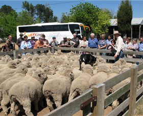 Aldoga ACT Kawana Tourism