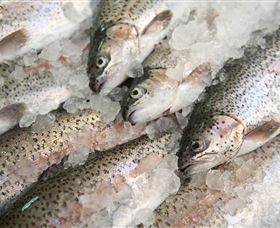 Arc-en-Ciel Trout Farm - Kawana Tourism 3