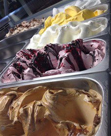 Hunter Belle Cheese - Kawana Tourism 4