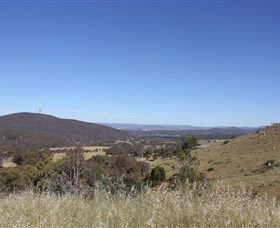 Applethorpe ACT Kawana Tourism