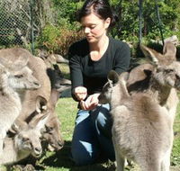 Canons Shuttles Day Tours - Kawana Tourism