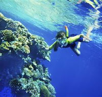 My Mates Tours - Kawana Tourism